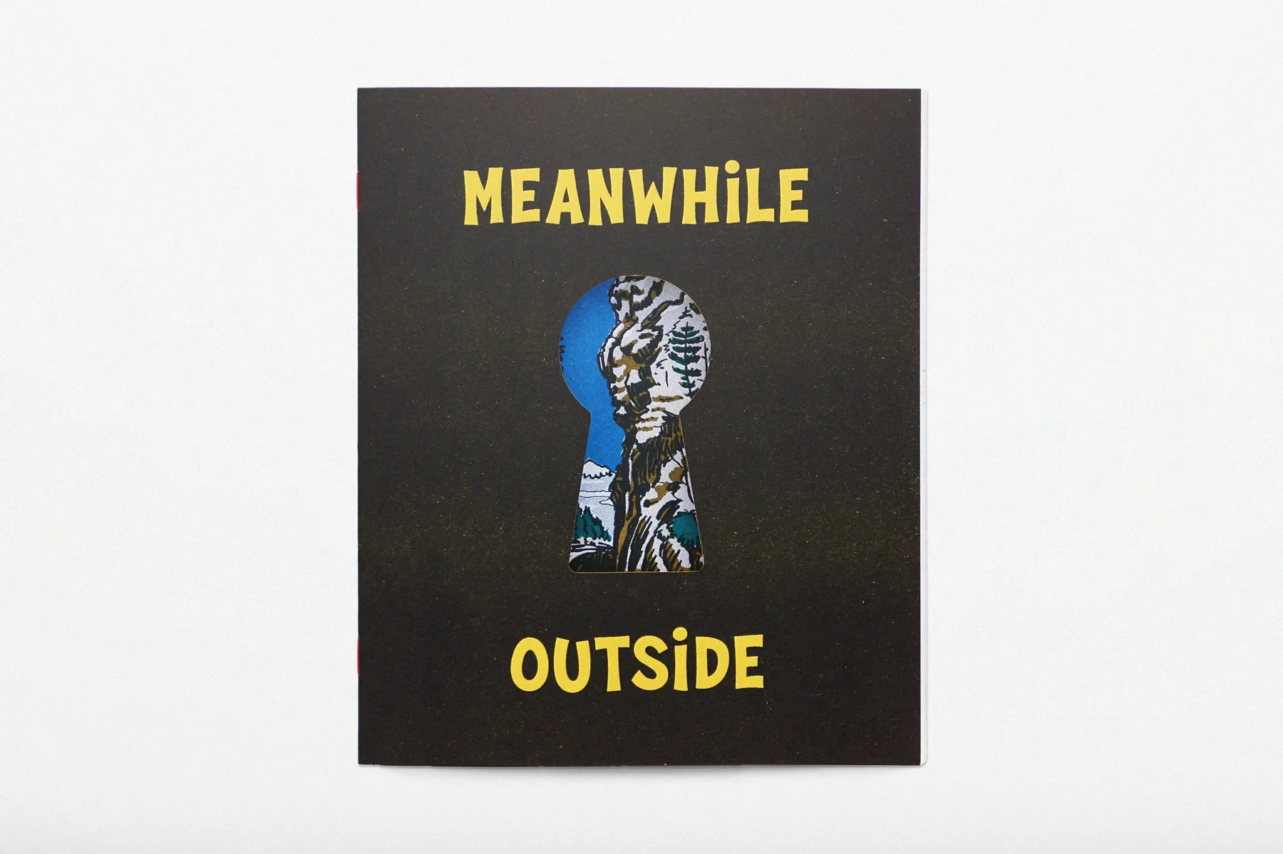 Meanwhile Outside Art Book — image 1